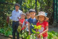 Piura: realizan premiación de 'biohuertos solidarios' en diversas instituciones educativas