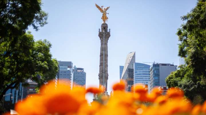 Aquí se Sienten Más Seguros en CDMX: ENSU 2025 Revela Alcaldía Donde se Percibe Menos Peligro