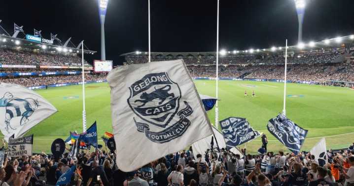 AFL hits Geelong with fine after audit findings