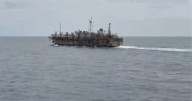 Sector artesanal pide al Gobierno aclarar rol de flota china en costas chilenas: Sospechan pesca de jibia no autorizada