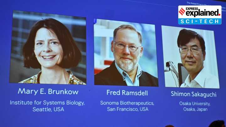 Nobel Prize in Medicine out: What exactly have the winners done, why it matters