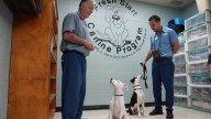 How inmates help shelter dogs find a home