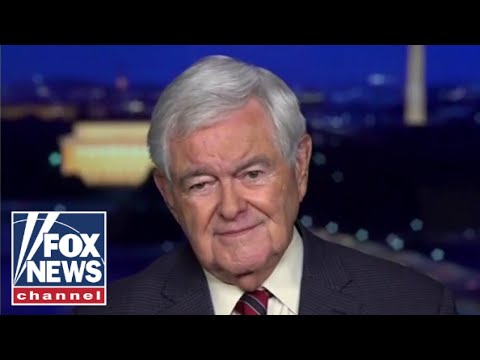 Newt Gingrich: Dems don't understand this