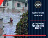 Naturaleza criminal