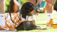 TIMELINE: The eventful tenure of Smokey X on the sidelines