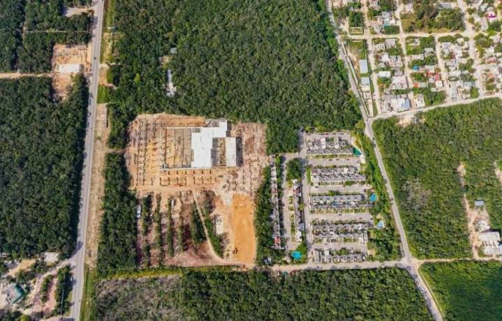 Centro comercial en Las Palmas desata polémica por la tala de árboles