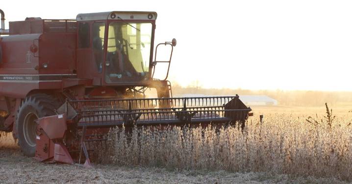 Illinois farmers facing a challenging number of issues this fall