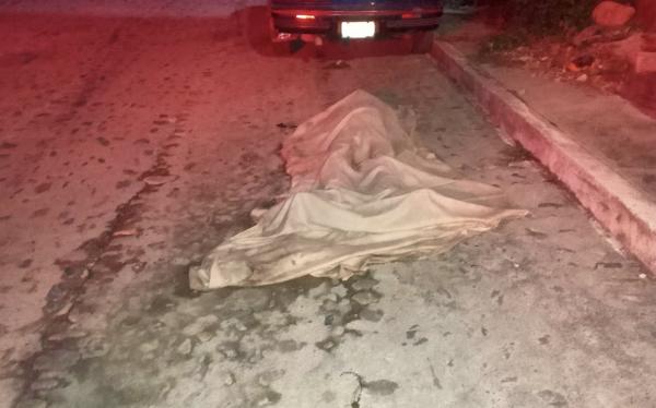 Muere joven tras ser atacado por abejas en Vallarta; hay tres heridos