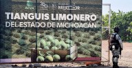 Gobierno de Michoacán abierto al diálogo con limoneros