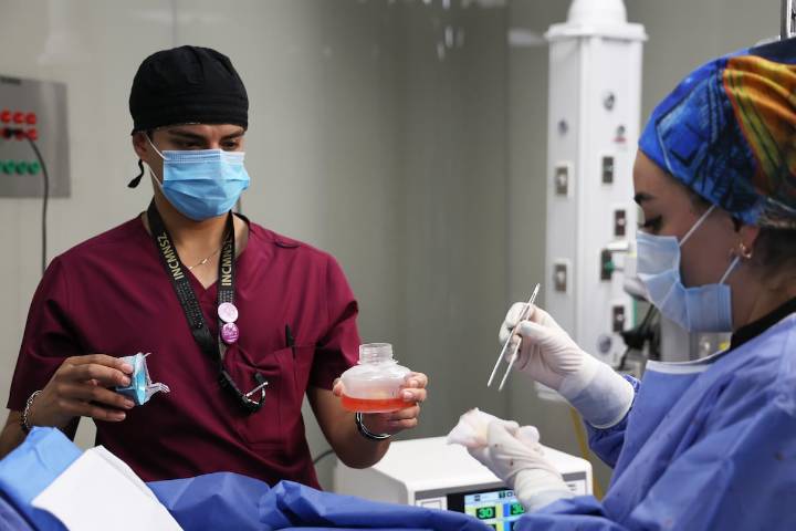 IMSS Pachuca realiza su tercera donación renal del año, en beneficio de dos pacientes  
