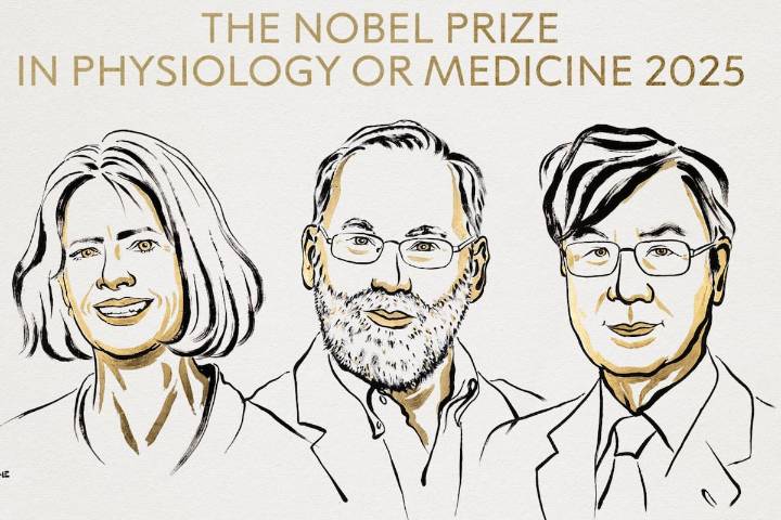 Tres científicos. Quién ganó el Premio Nobel de Medicina