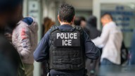 Detienen en EE.UU. a un inmigrante que ofreció recompensa en TikTok por matar a agentes del ICE