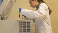 Qué tipo de alimentación puede prevenir la inflamación crónica de bajo grado
