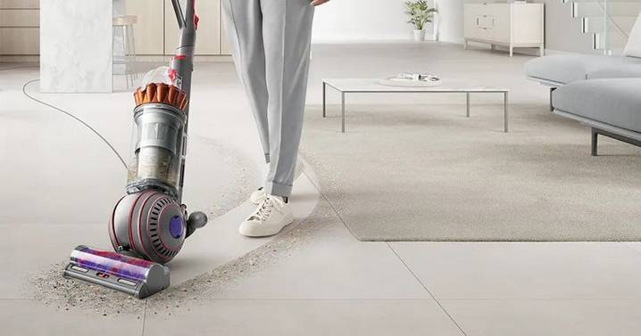 Dog owners race for Dyson vacuum 'excellent at pet fur pick