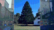 Rockefeller Center Christmas tree revealed! Key dates to know