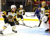 Edison Engle helps Brantford Bulldogs offence roll