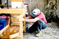 Peninsula apple, cider festival set across multiple locations