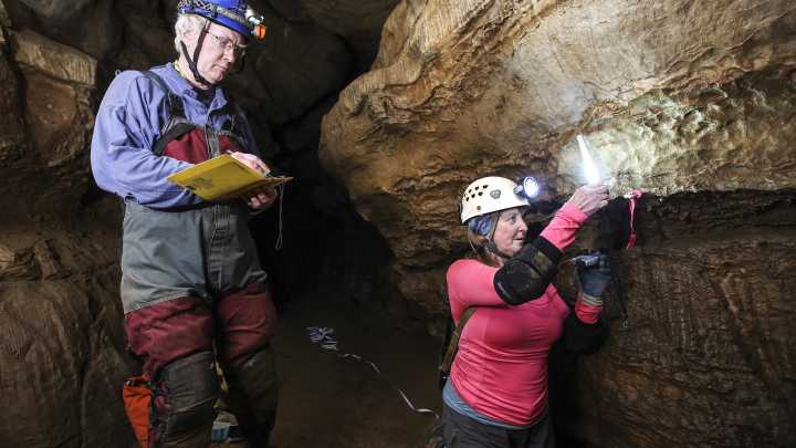 1 Mammoth Cave tour remains open during government shutdown. Here's why