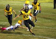 WPIAL/City League football statistical leaders after 7th week of season