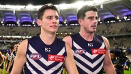analysis analysis AFL 
                                              Comments
                                            
                                              Premium
                   