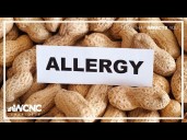 Scientists reveal why fewer kids are developing peanut allergies