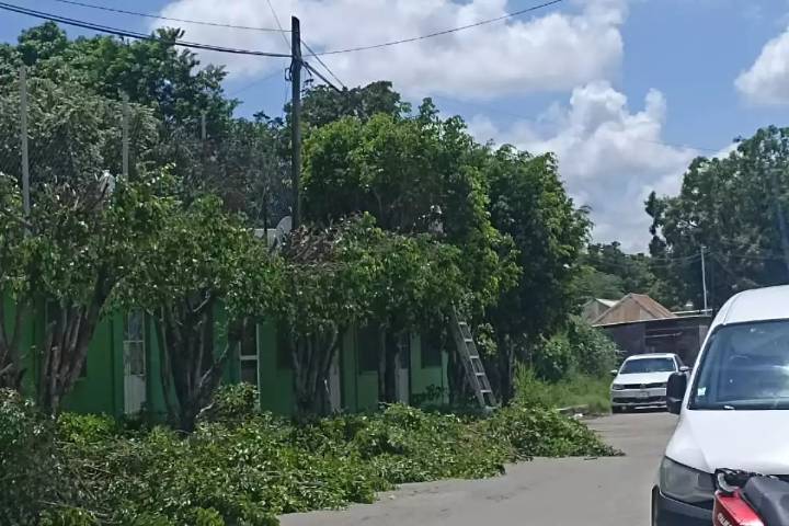 A un día de tragedia en Miguel Hidalgo, denuncian nuevo caso de riesgo eléctrico en colonia de Joaquín Guevara