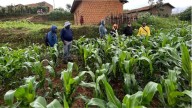 Cómo impacta el proceso electoral en el agro: “El productor necesita saber qué contexto económico va a tener”