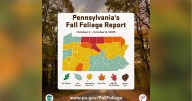 Western Pennsylvania approaching peak fall foliage this week