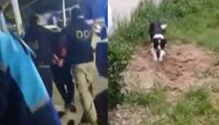 Perro policial halló el cadáver: hombre asesinó a su jefe en Argentina, enterró su cuerpo y ocupó su casa
