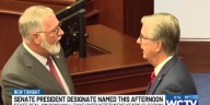 Jim Boyd named Florida Senate president designate