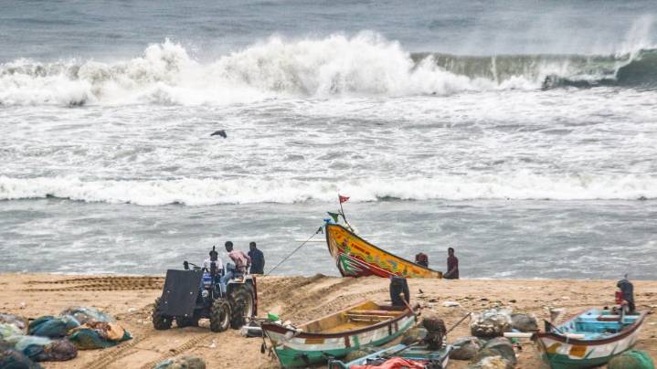Cyclone Montha's Impact In Andhra Pradesh: Heavy Rain, Trees Uprooted, Destroyed Banana Cultivation