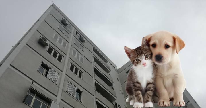 CDMX prohíbe negar vivienda a personas con niños o mascotas