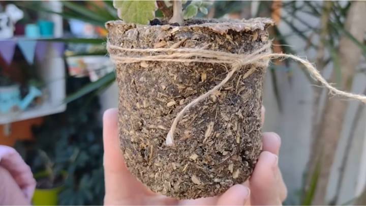 Reciclaje: guardá la yerba del mate usada y transformala en una maravillosa maceta biodegradable