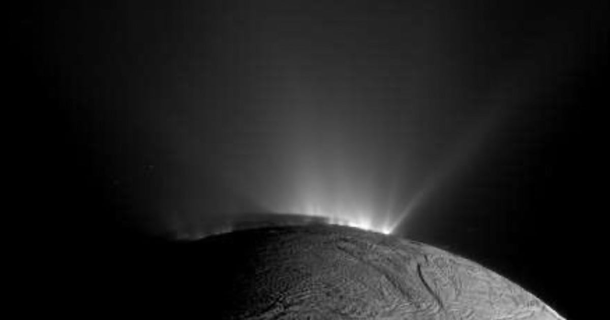 Saturn moon life: New study looks at moon Enceladus