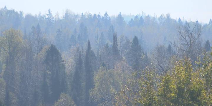 Crosby wildfire on north shore remains mostly uncontained Thursday