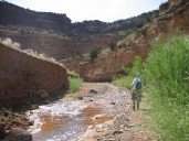 Labyrinth Canyon in Utah is under threat from Trump (Opinion)