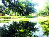 Ponds  a Dying  Civilisation of Kandi Belt of Jammu