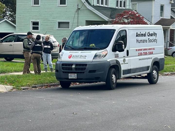 21 cats, multiple children removed from Youngstown home