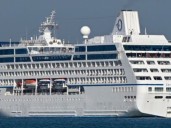 Del sueño a la pesadilla: casi 80 personas se enferman en un crucero de lujo y hay preocupación extrema a bordo