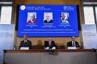 The Nobel Prize for physics is awarded for discoveries in quantum mechanical tunneling