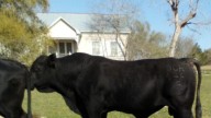 Fayette County seeks help locating missing 1