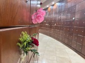 Día de Muertos: horarios de misas y apertura de criptas en Catedral de Ciudad Obregón