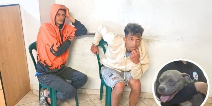 Sujeto que agredió a perrita en el Callao fue tenido por la Policía