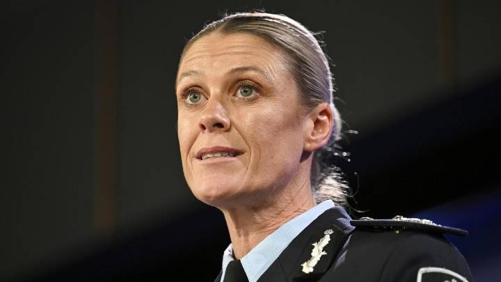 ‘Crimefluencers’ hunting young girls for ‘sadistic online exploitation’, AFP chief warns