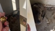 Oklahoma Deputy Shocked To Discover Heartbreaking Scene Inside Empty House