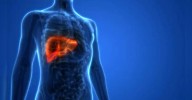 Gut-liver connection may help reverse fatty liver disease: Study reveals everyday vegetables with nutrient that shields against sugar damage