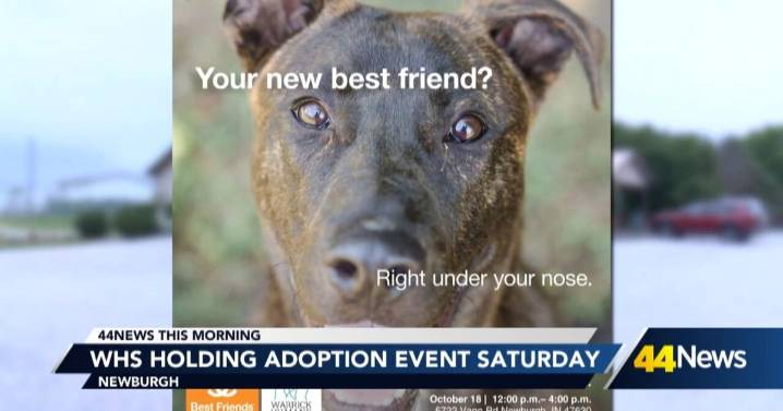 Warrick Humane Society hosting adoption event on Saturday