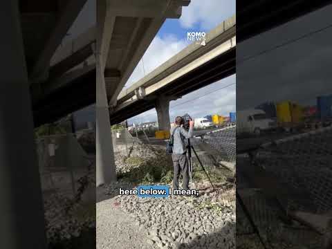 Teen killed, three others injured in SODO crash after car plunges 80 feet off overpass