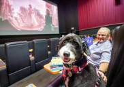 Pictures: Dog Day at Regal Winter Park Village