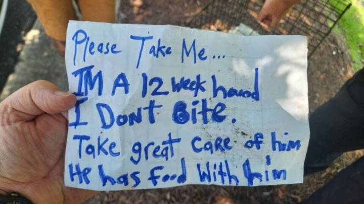North Carolina Puppy Found In Cage With Note Leaves Officers And Locals Outraged